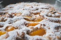 A homemade delicious fresh baked sponge apricot cake with the fruit and icing sugar on the top. Royalty Free Stock Photo