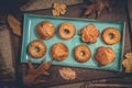 Homemade delicious mini bundt cakes, guglhupf, muffins on a blue plate on rustic wooden background with autumn decoration Royalty Free Stock Photo