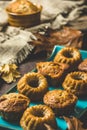 Homemade delicious mini bundt cakes, guglhupf, muffins on a blue plate on rustic wooden background Royalty Free Stock Photo