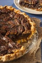 Homemade Delicious Pecan Pie Royalty Free Stock Photo