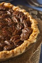 Homemade Delicious Pecan Pie Royalty Free Stock Photo