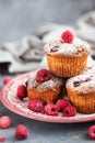 Homemade delicious raspberry muffins Royalty Free Stock Photo