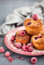 Homemade delicious raspberry muffins Royalty Free Stock Photo