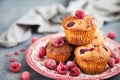 Homemade delicious raspberry muffins Royalty Free Stock Photo