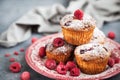 Homemade delicious raspberry muffins Royalty Free Stock Photo