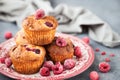 Homemade delicious raspberry muffins Royalty Free Stock Photo