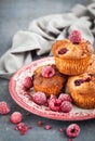 Homemade delicious raspberry muffins Royalty Free Stock Photo