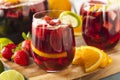 Homemade Delicious Red Sangria