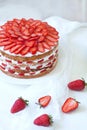 Homemade delicious strawberry sponge cake