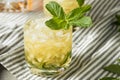 Homemade Derby Mint Julep