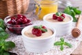 Homemade dessert panna cotta with cherry and mint Royalty Free Stock Photo