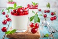 Homemade dessert panna cotta with cherry and mint Royalty Free Stock Photo