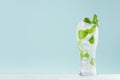 Homemade diet lemonade with mint leaf, ice cubes, soda in misted glass on white wood table, pastel green color background. Royalty Free Stock Photo