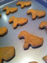 Homemade doggy treats