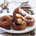 Homemade donuts with sugar and cinnamon on a wooden background. Rustic style Royalty Free Stock Photo