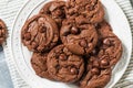 Homemade Double Chocolate Chip Hazelnut Cookies Royalty Free Stock Photo