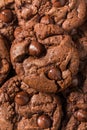 Homemade Double Chocolate Chip Hazelnut Cookies Royalty Free Stock Photo
