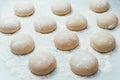 Homemade dough pies on the baking sheet ready for the oven for baking Royalty Free Stock Photo