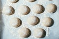 Homemade dough pies on the baking sheet ready for the oven for baking Royalty Free Stock Photo