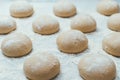 Homemade dough pies on the baking sheet ready for the oven for baking Royalty Free Stock Photo