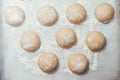 Homemade dough pies on the baking sheet ready for the oven for baking Royalty Free Stock Photo