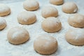 Homemade dough pies on the baking sheet ready for the oven for baking Royalty Free Stock Photo