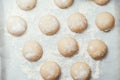 Homemade dough pies on the baking sheet ready for the oven for baking. Selective focus macro shot with shallow DOF Royalty Free Stock Photo