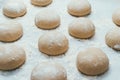 Homemade dough pies on the baking sheet ready for the oven for baking. Selective focus macro shot with shallow DOF Royalty Free Stock Photo