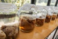 Homemade drink in a glass bottle jar Kombucha SCOBY symbiotic culture of bacteria and yeast