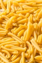 Homemade Dry Casarecce Pasta