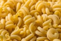 Homemade Dry Trottole Pasta Royalty Free Stock Photo