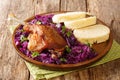 Homemade duck leg with stewed red cabbage garnish and dumplings close-up in a plate. horizontal Royalty Free Stock Photo