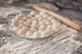 Homemade dumpling on the plate Royalty Free Stock Photo