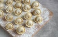 homemade dumplings on a cutting board in close-up rows of flour
