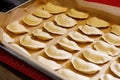 Homemade dumplings ready for cooking. Royalty Free Stock Photo