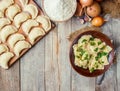 Homemade dumplings. Vareniki. Royalty Free Stock Photo