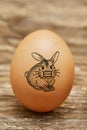 Homemade Easter egg - Rabbit with mask Royalty Free Stock Photo