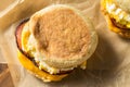 Homemade Egg English Muffin Sandwich Royalty Free Stock Photo