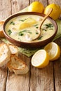 Homemade egg lemon soup with chicken and orzo pasta close-up in a bowl. vertical Royalty Free Stock Photo