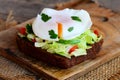 Homemade egg poached sandwich. Egg poached on rye bread slice with fresh vegetables and parsley. Healthy breakfast