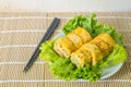 homemade egg rolls, vegetarian food Royalty Free Stock Photo