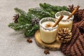 Homemade eggnog with cinnamon in glass. Typical Christmas dessert. Evergreen fir brunch, cones, cozy plaid, artificial snow. Stone