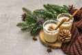 Homemade eggnog with cinnamon in glass. Typical Christmas dessert. Evergreen fir brunch, cones, cozy plaid, artificial snow. Stone