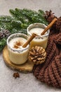 Homemade eggnog with cinnamon in glass. Typical Christmas dessert. Evergreen fir brunch, cones, cozy plaid, artificial snow. Stone