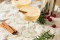 Homemade Eggnog Martini in a Glass