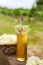 Homemade elderflower syrup