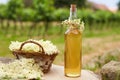 Homemade elderflower syrup in a bottle