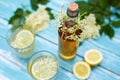 Homemade elderflower syrup in a bottle with elderflowers