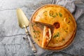 Homemade Empanada Gallega large Spanish pie filled with meat or fish and vegetables close-up on a board. Horizontal top view