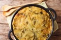 Homemade English Bubble & Squeak of baked mashed potatoes with cabbage and Brussels sprouts in a pan on the table. horizontal top Royalty Free Stock Photo